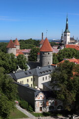 Obraz premium View, from a viewpoint in central Tallinn, towards the old medieval part of the city, full of old historical buildings, Estonia