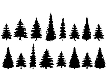 Obraz premium set of trees fir