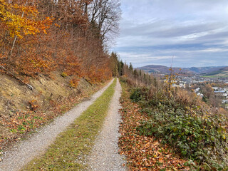 Fototapeta premium autumn in the mountains