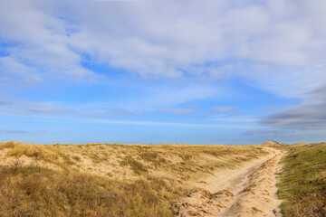 path over the dunes to the beach in the Netherlands in Petten aan Zee on a windy day with cloudy...