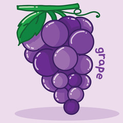 bunch of grapes illustration with many grapes