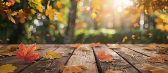A rustic themed outdoor mockup featuring autumn maple leaves on a wooden table with a blurred nature background perfect for product display with copy space image