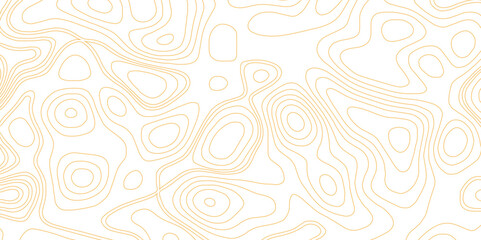 Topographic map lines background.  Contour vector map. Topography and geography map grid abstract backdrop. 