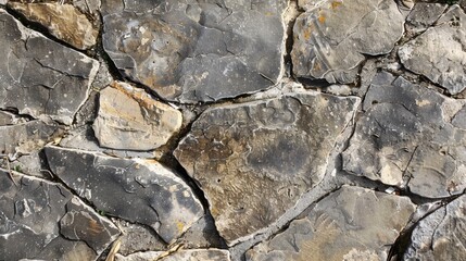 Cracked Stone Texture.