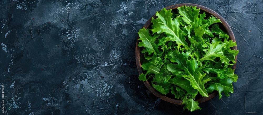 Poster top view of a fresh oak leaf salad on a dark backdrop with ample copy space image