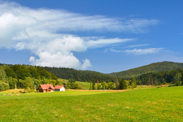 Rural landscape with field, trees, grass and mountains in the background. Ecologically clean area with blue sky and clouds. Beskids mountains in the summer, Poland.