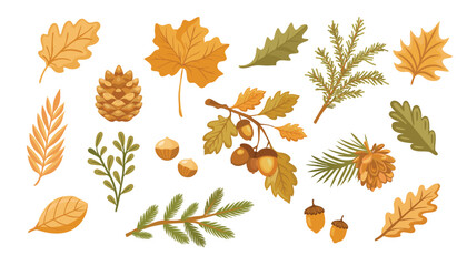 Set of autumn leaves, branches, acorns and cones. Forest nature orange leafage and september red leaves. Chestnut, dog rose and viburnum or foliage leaf. Vector illustration