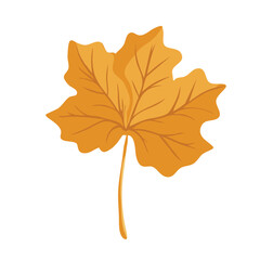 Leaf maple. Colorful autumn leaf. Season nature and ornament theme. Isolated design. Vector illustration