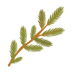 Fir tree branch. A branch of a pine tree. Coniferous trees. Vector illustration design.  