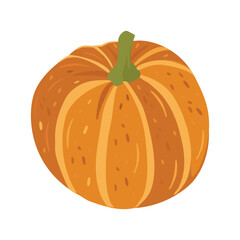 Cute autumn pumpkin. Autumn halloween pumpkin, vegetable graphic icon. Pumpkin Isolated on White. Vector