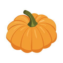 Cute autumn pumpkin. Autumn halloween pumpkin, vegetable graphic icon. Pumpkin Isolated on White. Vector