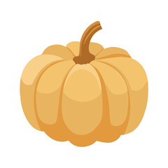 Cute autumn pumpkin. Autumn halloween pumpkin, vegetable graphic icon. Pumpkin Isolated on White. Vector