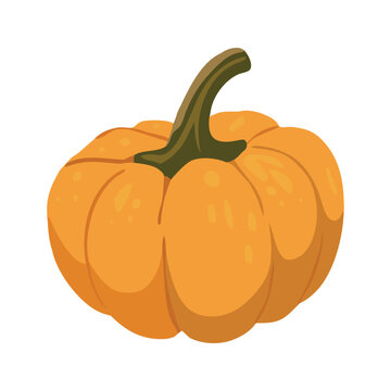 recommend clip art: Cute autumn pumpkin. Autumn halloween pumpkin, vegetable graphic icon. Pumpkin Isolated on White. Vector
