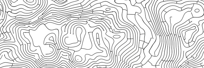 Abstract Topographic Map Lines