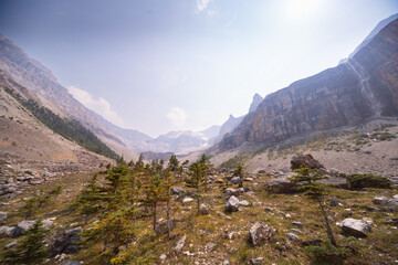 Sunny Morning in the Canadian Rockies Gorge Trail, Canada