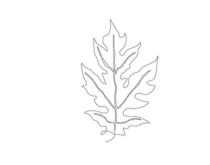 Continuous one line drawing of papaya leaf. Single line drawing illustration of tropical papaya leaf plant. Tropical leaves concept line art. Editable outline