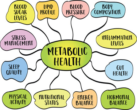 components and factors affecting metabolic health, vector infographics mind map sketch