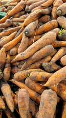 Selling carrots in a store, supermarket or indoor market. Carrot close-up. Plastic boxes with carrots in a store. Vegetables