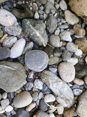 Pebbles on the river bank.