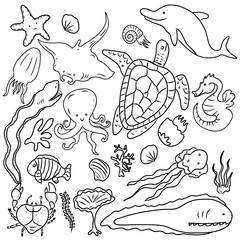 Vector set of underwater life. Hand drawn sketches of sea turtle, dolfin, jelly fish, shells, octopus and other  oceans animals.