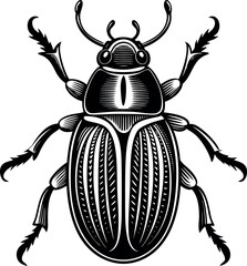 Beetle silhouette 