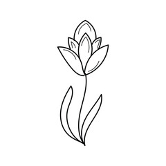 Flower line doodle design for print or use as tattoo design