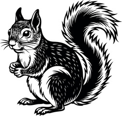 Squirrel silhouette on white background