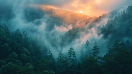 Fototapeta premium Mountains, clouds and mist halfway up the mountain, forest on the left, sunrise 