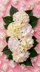 Floral pattern made of white fresh hydrangea and green leaves on pink background flat lay top view