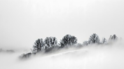 mountain, landscape, mountains, sky, fog, nature, sunset, sunrise, cloud, morning, mist, view, clouds, hill, forest, dawn, tree, valley, snow, evening, sun, winter, beauty, foggy, travel