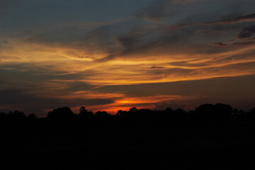 Dragonfly flying in Colorful cloudy sunset in forest grassland during monsoon in bihar, India
