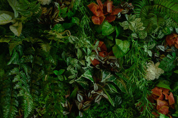 Nature leaves, green tropical forest, backgound concept