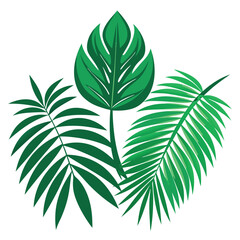 Tropical different types of exotic leaves set. Jungle plants. Calathea, Monstera, and palm leaves. Realistic vector  illustration isolated on a white background