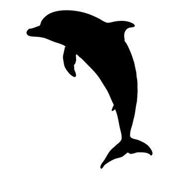 recommend clip art: Dolphin, sea-themed graphic. Perfect for ocean, marine and marine mammal illustrations. Black dolphins, white background. Generated by Ai