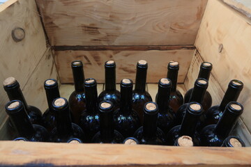 
Wine bottles aging in a Georgian cellar