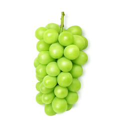 シャインマスカット  イラスト リアル 