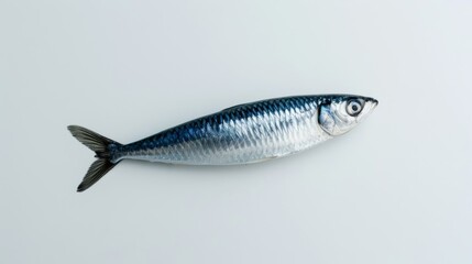 Naklejka premium Closeup of a single sardine isolated on a white background, emphasizing its sleek silver scales and minimalistic beauty 
