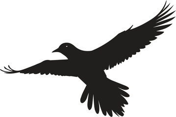 a bird vector art , illustrator