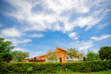 Modern luxury villa with swimming pool and relaxation areas, surrounded by trees and plants.