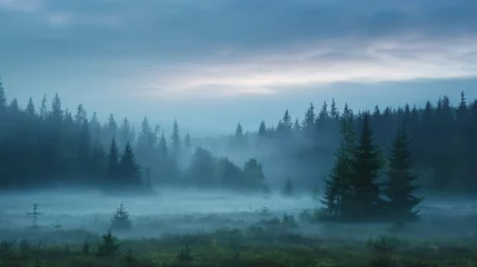 Plexiglas schilderij Mistig bos Wide shot of a forest clearing at dawn with fog.  © bersch28