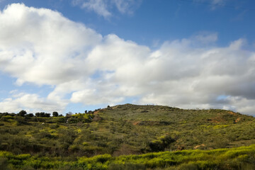 The landscape Hillside under a Blue Sky at spain
