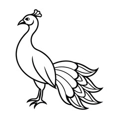 Obraz premium Peacock Silhouette Vector Illustration 