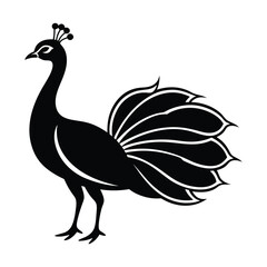 Peacock Silhouette Vector Illustration 
