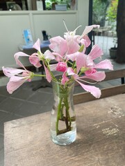 flowers in vase