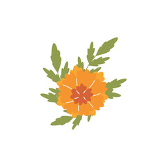 Orange marigold flower with leaves flat vector icon, blossom beautiful plant, floral design element, tagetes erecta herb