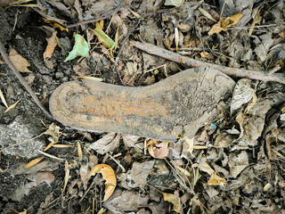 An old forgotten insole on the ground