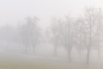 wafts of fog in the mountains of Austria