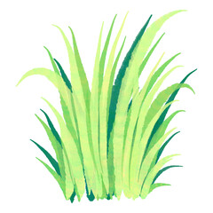 Watercolor green grass, nature, leaf