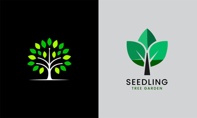 tree saplings, tub plants, seedling trees, tree leaves, flower garden