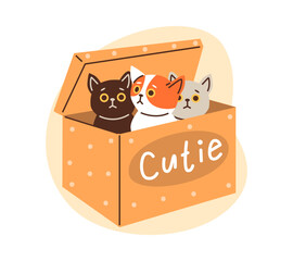 Cute colorful kittens playing and sitting inside in cardboard box vector, funny hiding pussycats looking out cutie pet